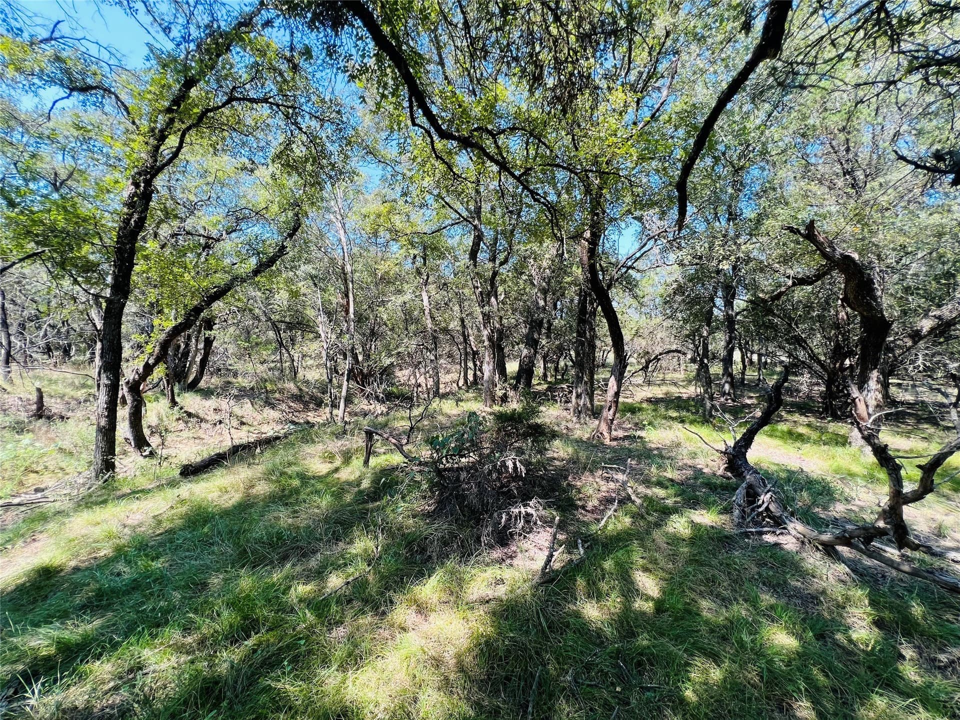 13.39 acres in Palo Pinto County - photo 35