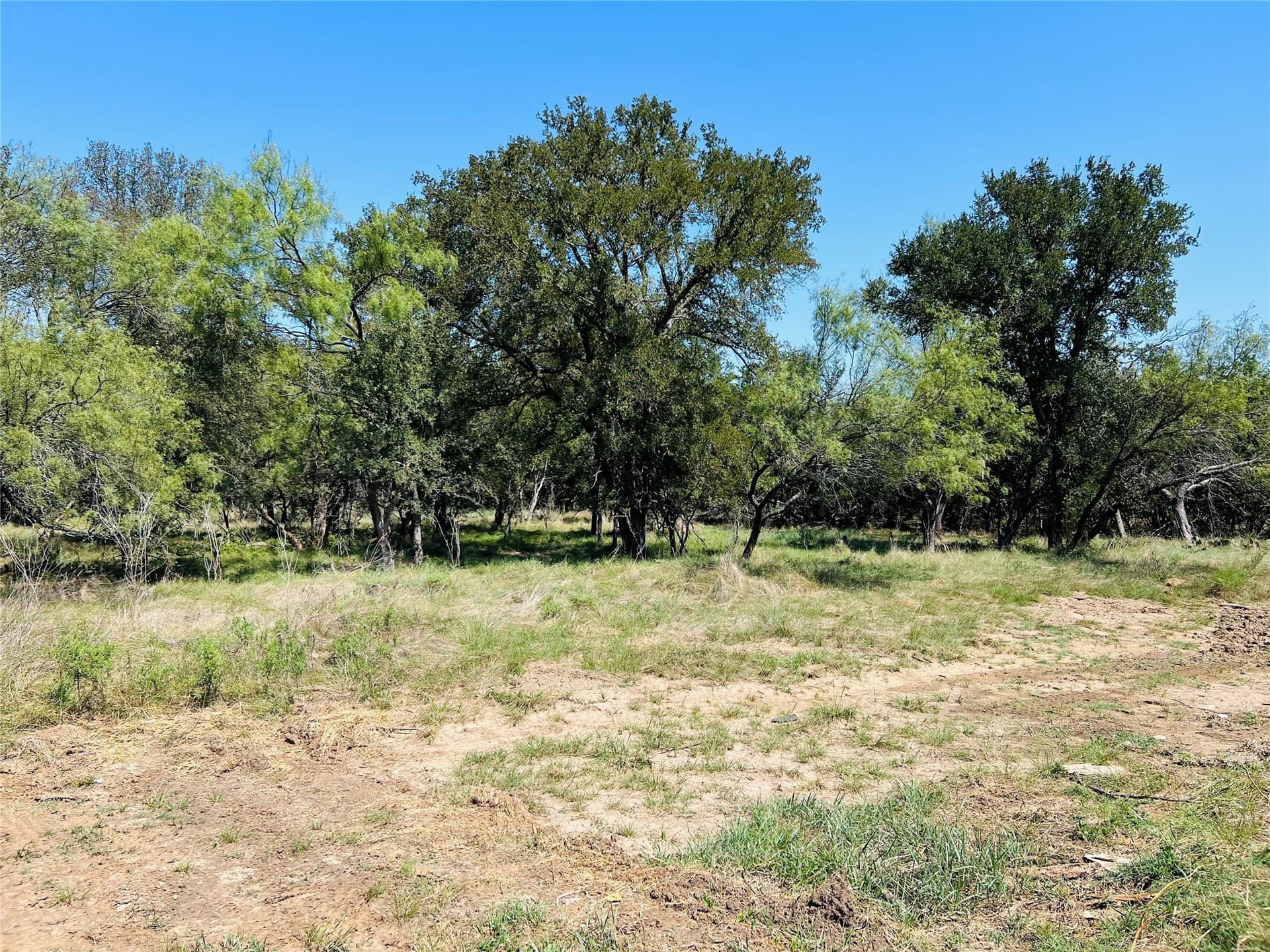 13.39 acres in Palo Pinto County - photo 5