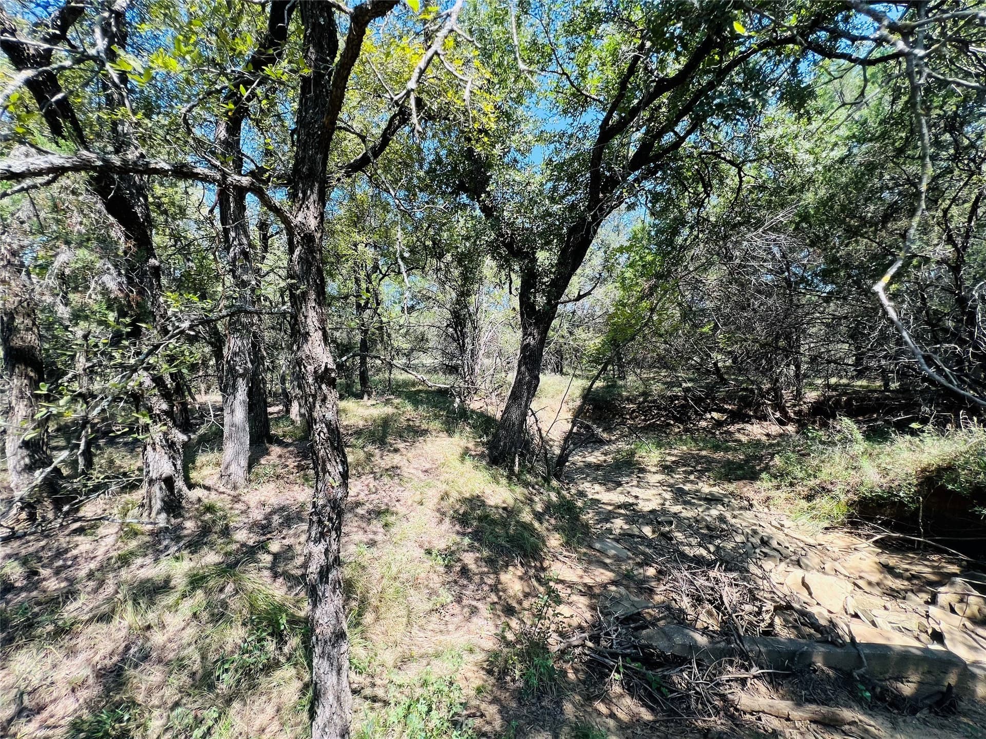 13.39 acres in Palo Pinto County - photo 37