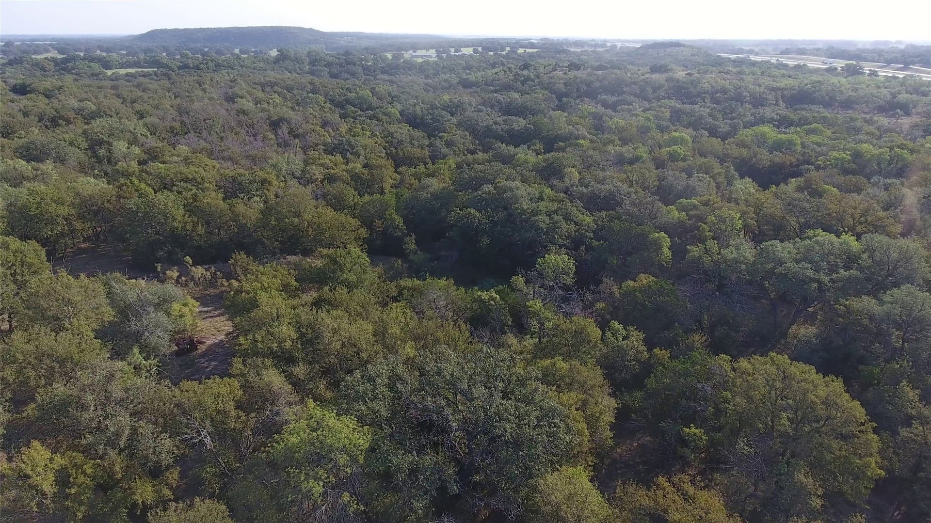 13.39 acres in Palo Pinto County - photo 39