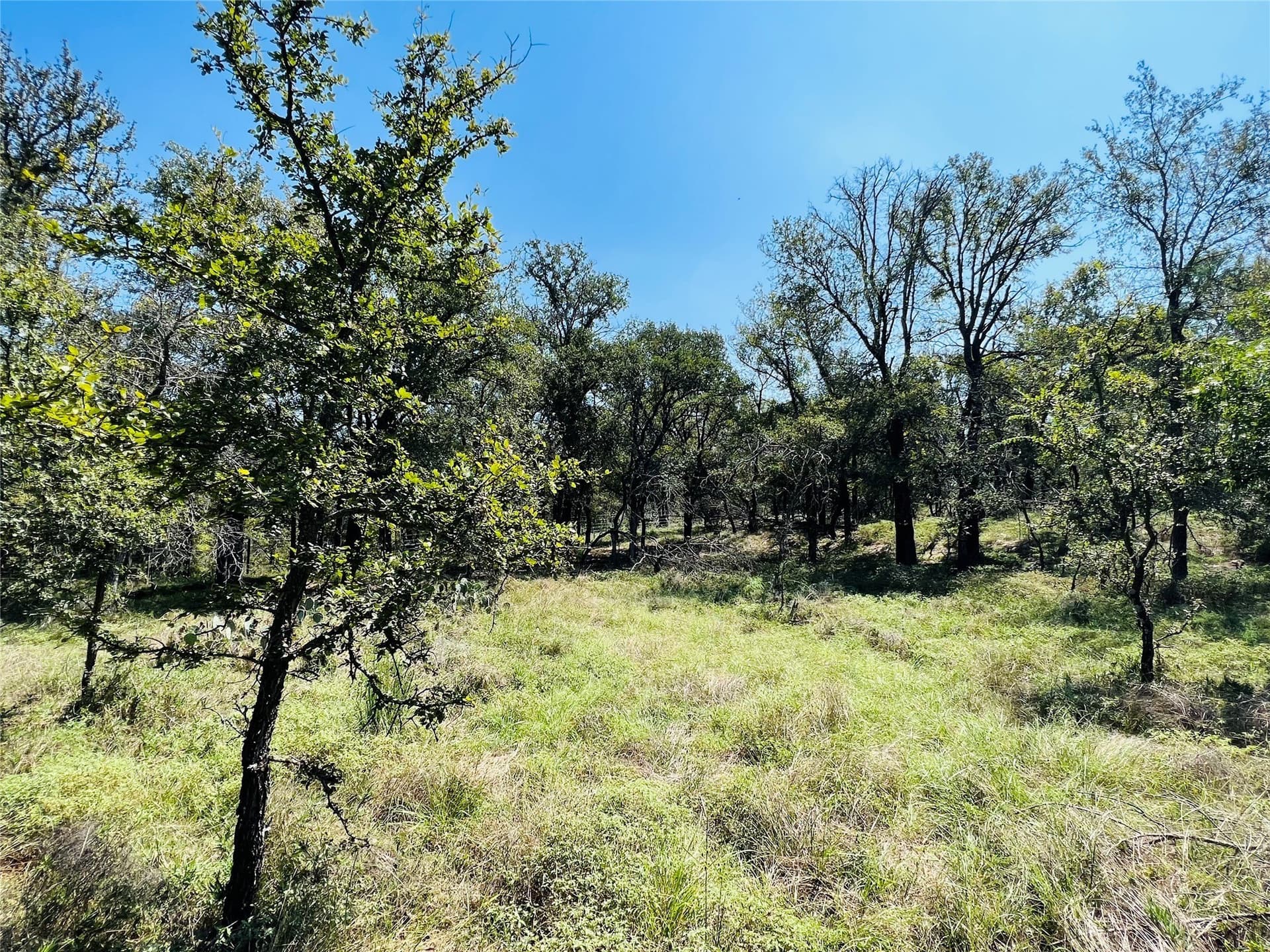 13.39 acres in Palo Pinto County