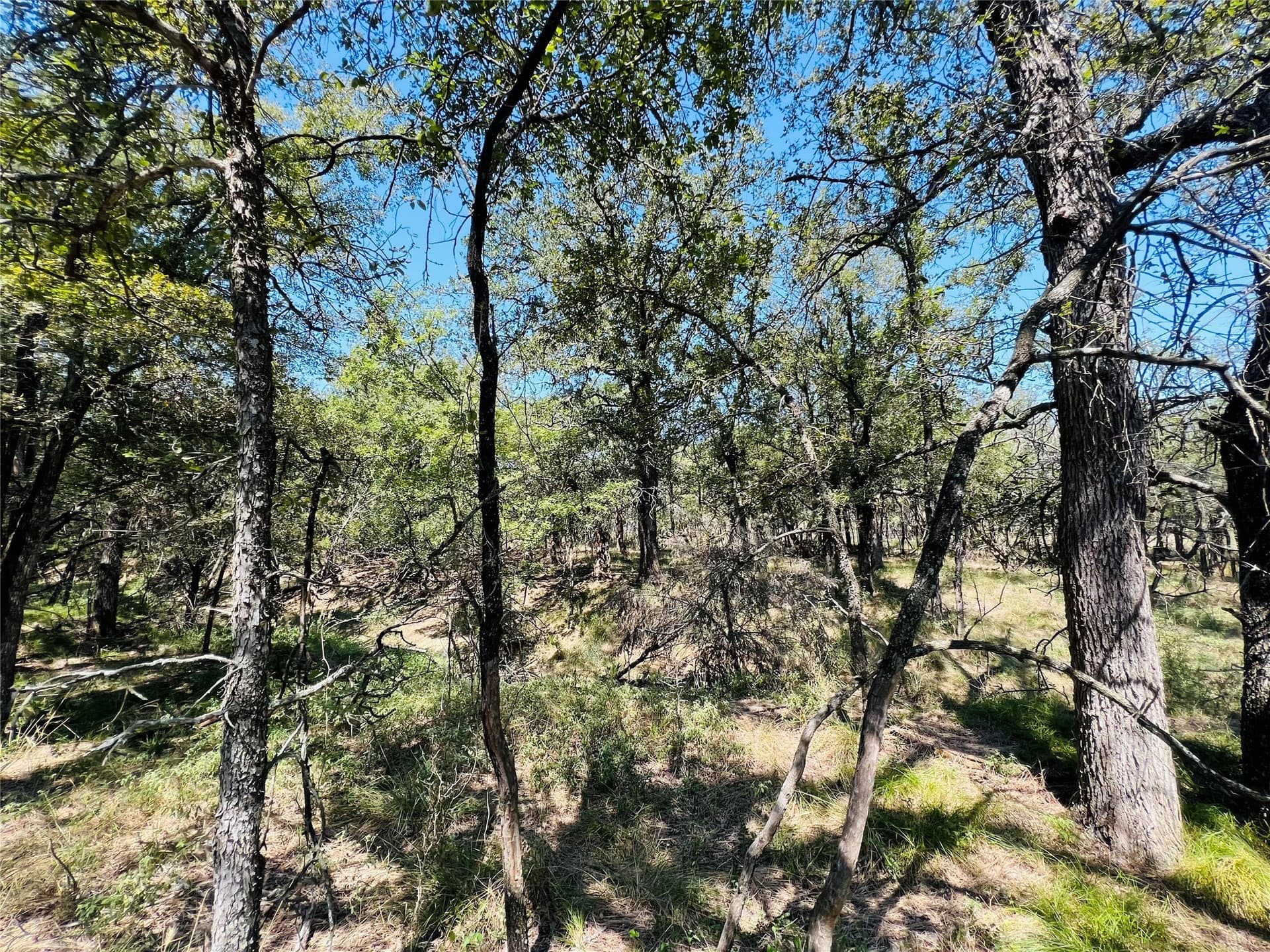 13.39 acres in Palo Pinto County - photo 36