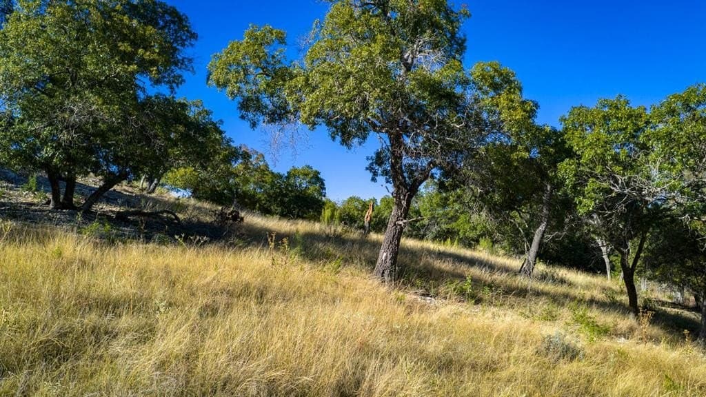 20 acres in Kerr County - photo 51