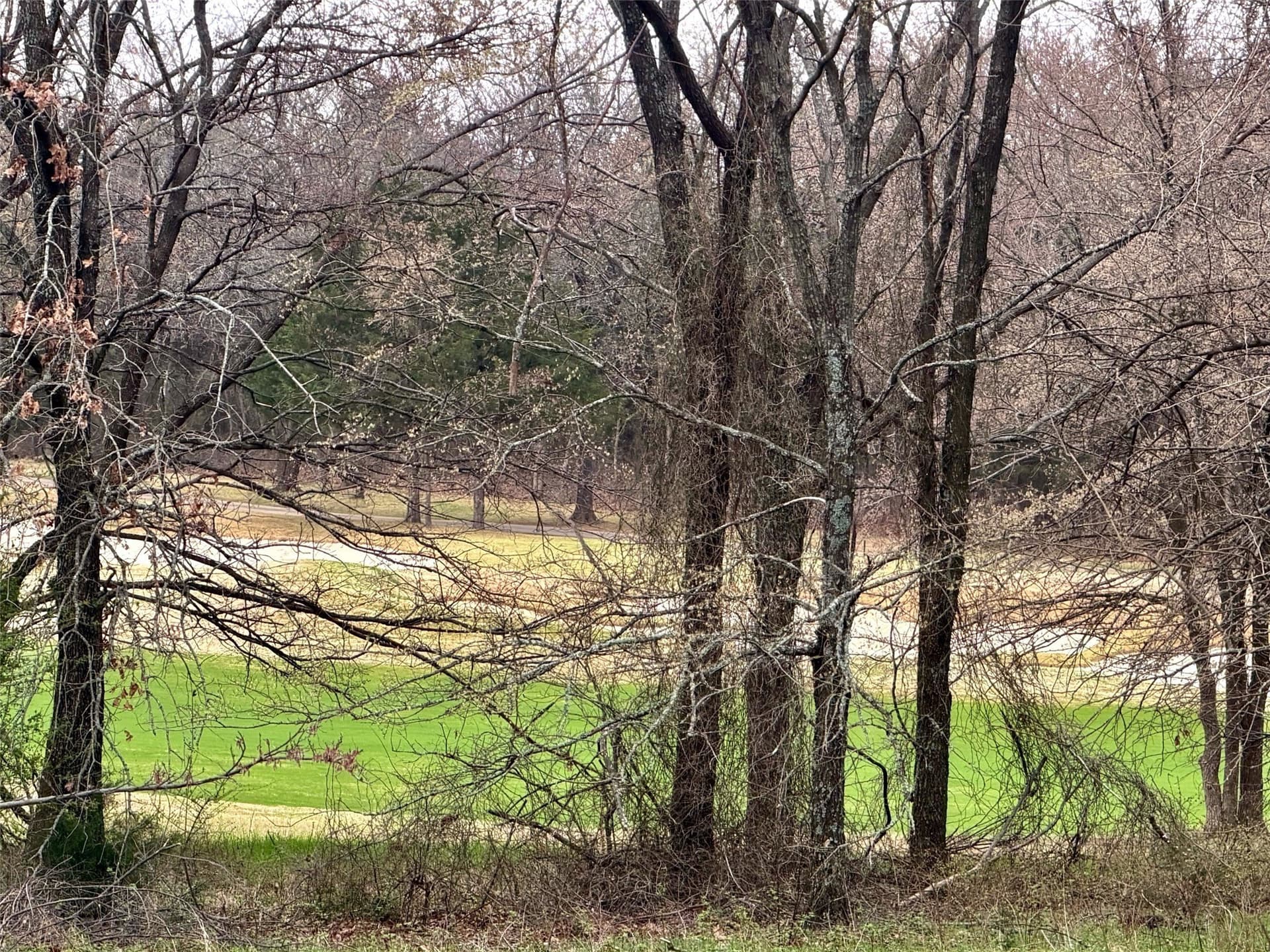 0.27 acres in Grayson County - photo 4