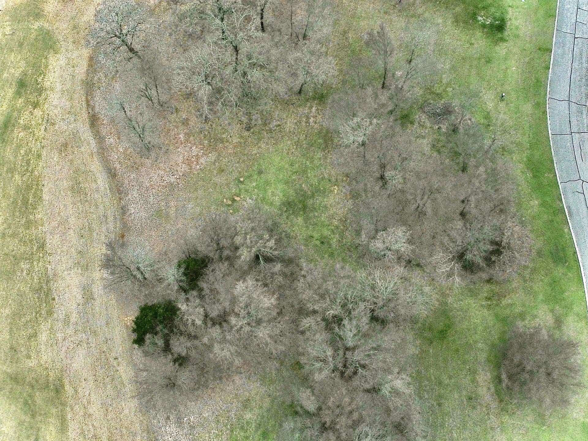 0.27 acres in Grayson County - photo 5
