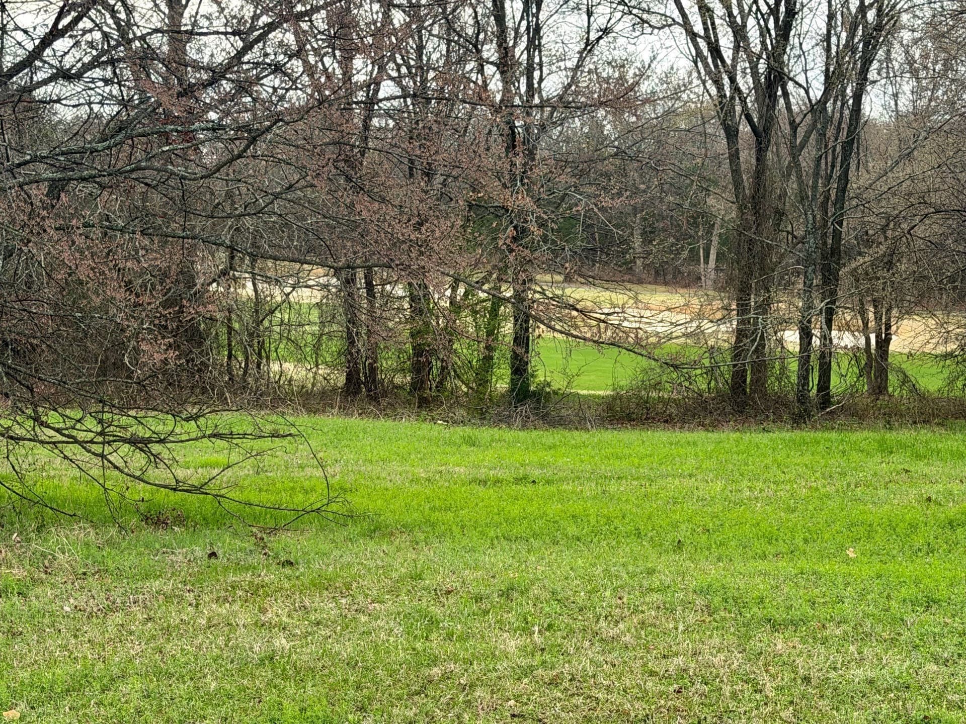 0.27 acres in Grayson County - photo 3
