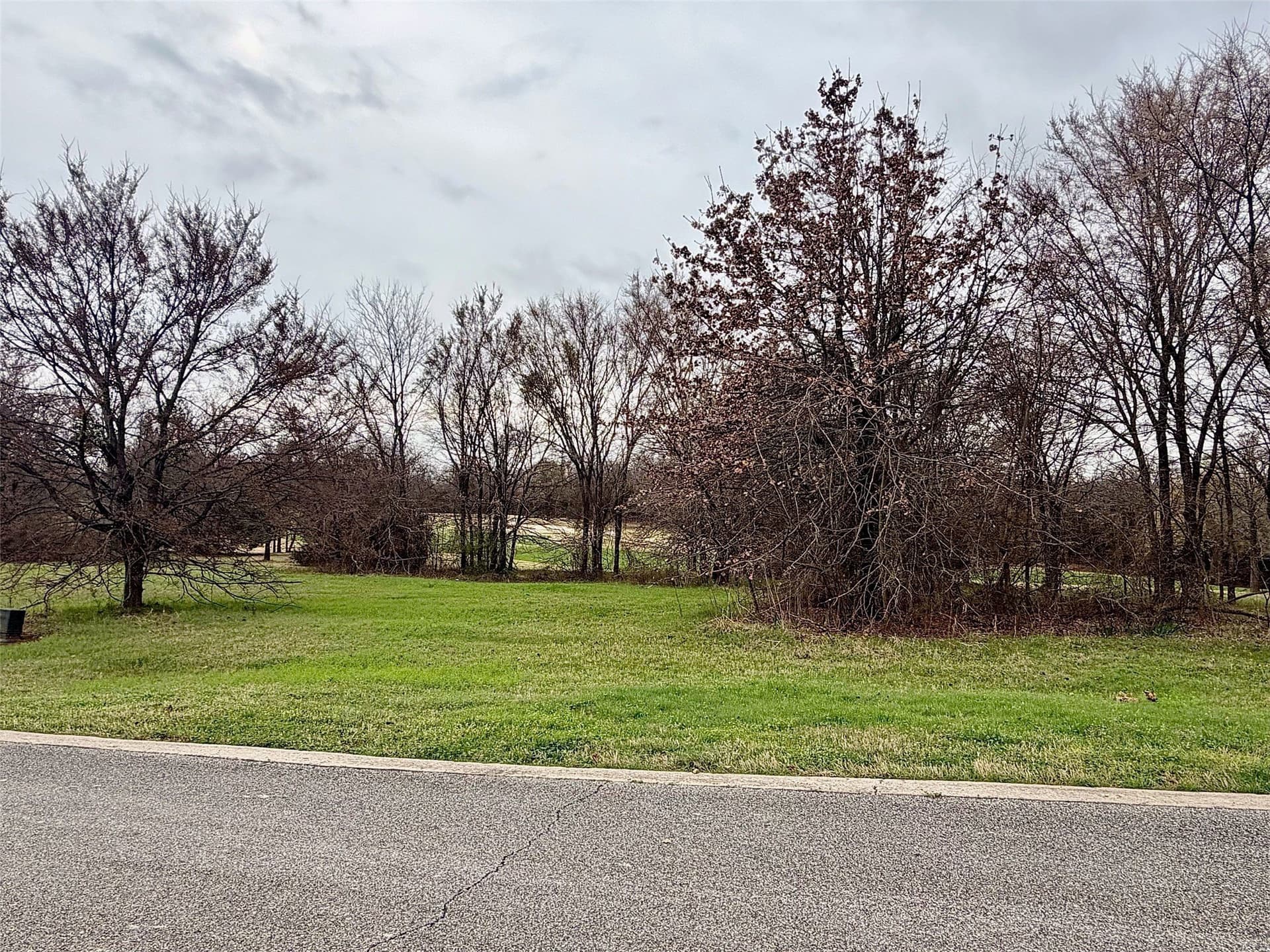 0.27 acres in Grayson County - photo 2
