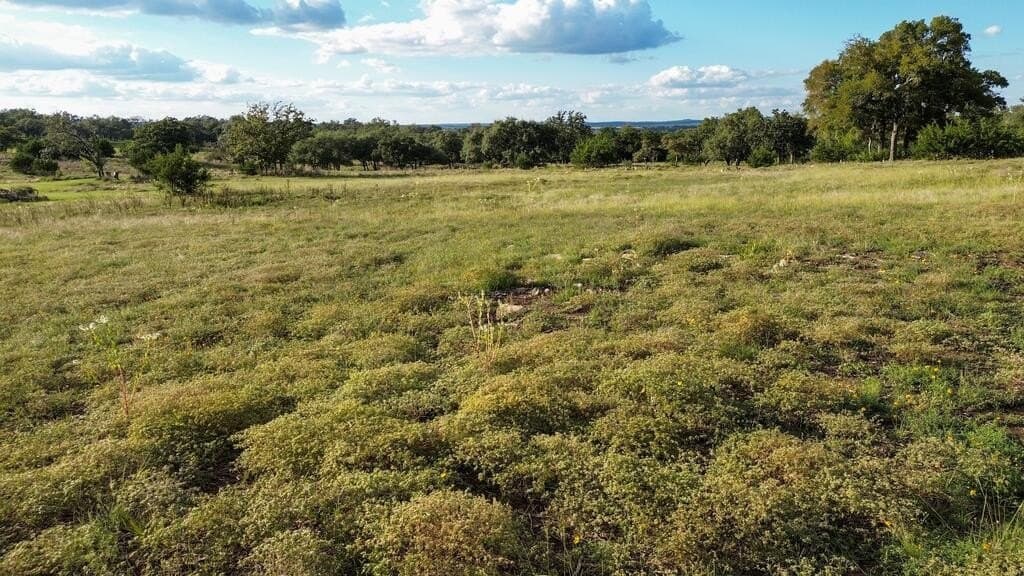 4.09 acres in Gillespie County - photo 16