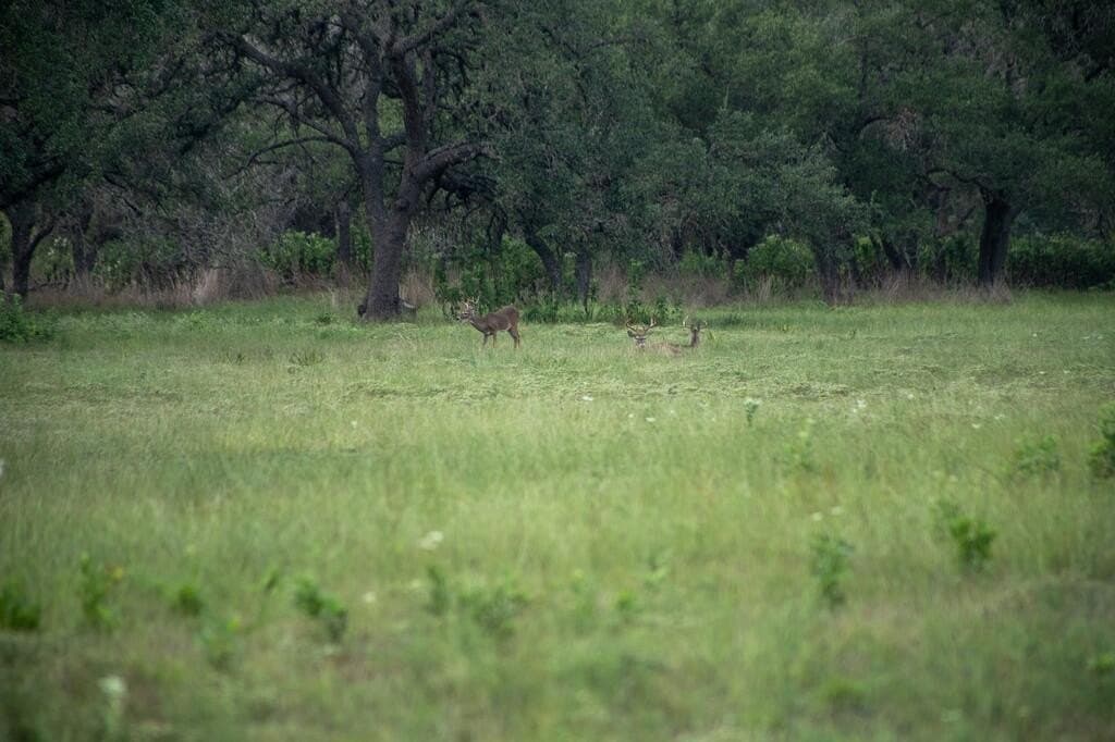 4.09 acres in Gillespie County - photo 19