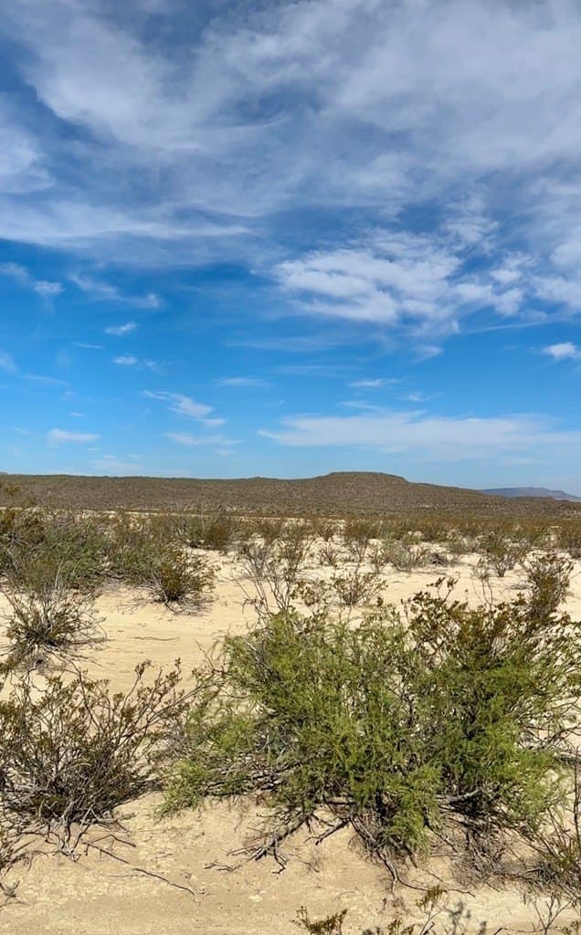 160 acres in Brewster County featured view