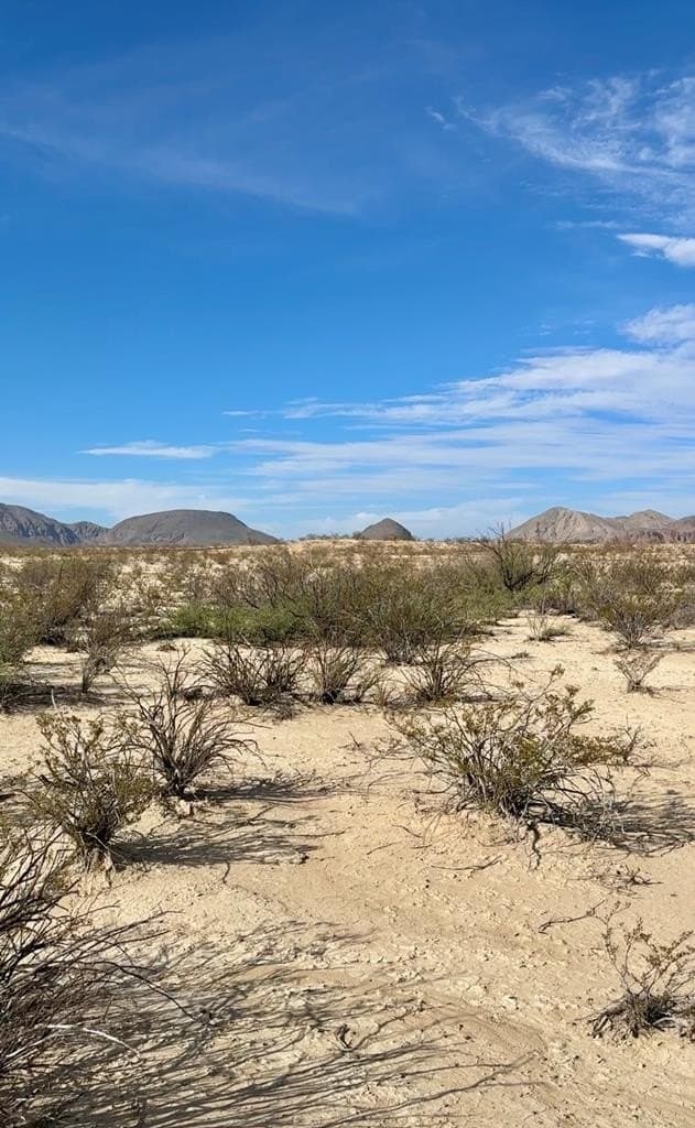 160 acres in Brewster County - photo 8