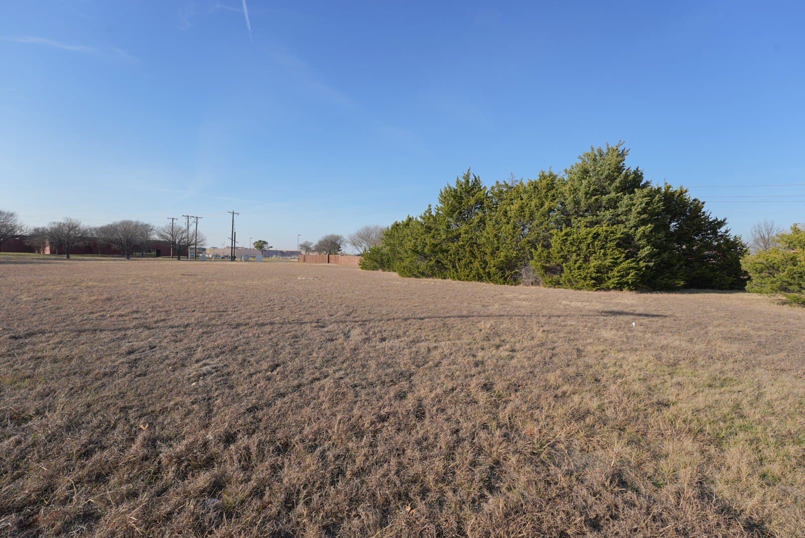 2.81 acres in Dallas County - photo 8