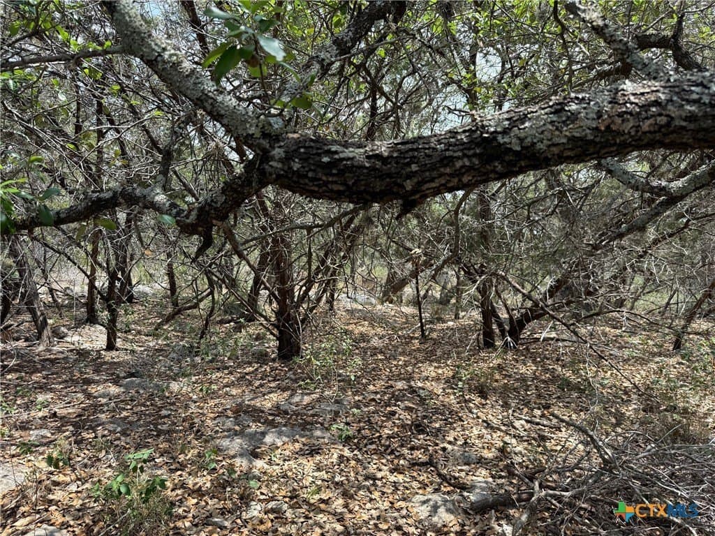0.34 acres in Comal County gallery image 4
