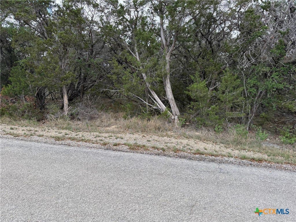 0.34 acres in Comal County gallery image 2