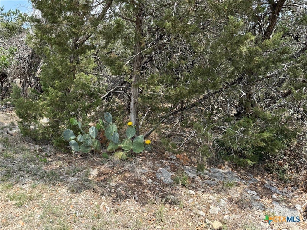 0.34 acres in Comal County gallery image 2