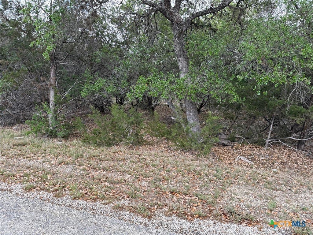 0.34 acres in Comal County