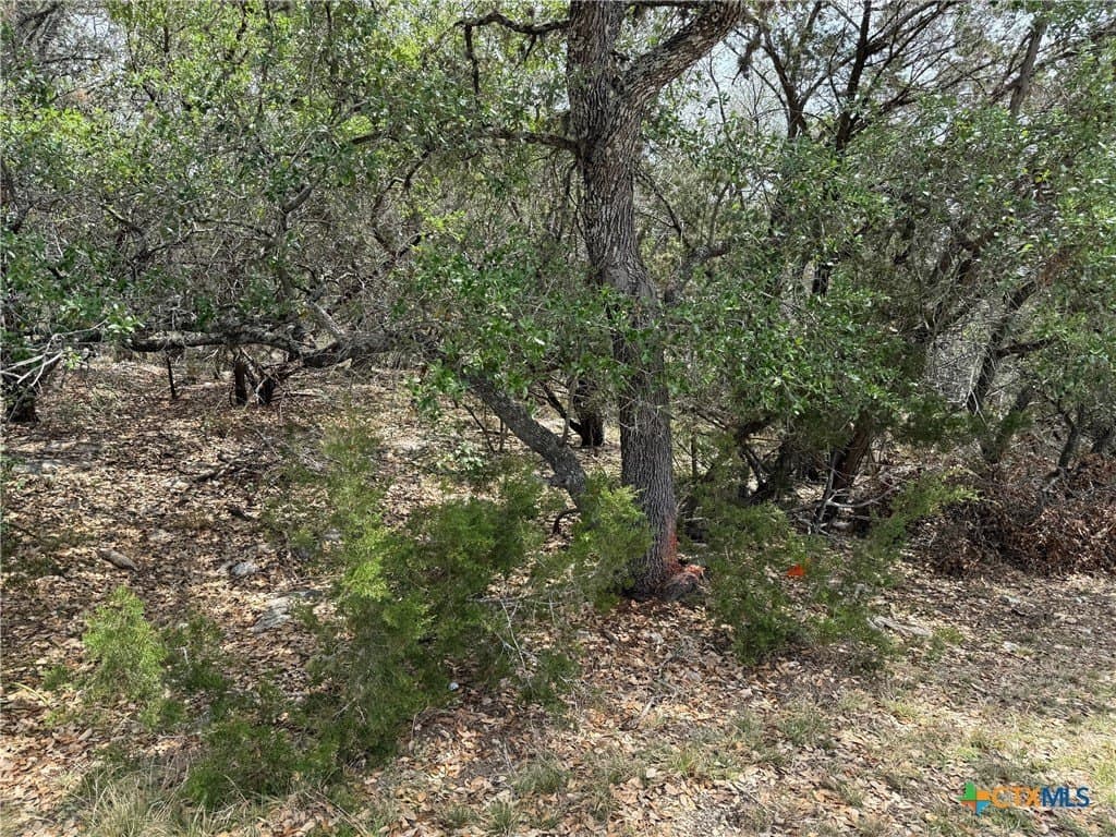 0.34 acres in Comal County gallery image 3