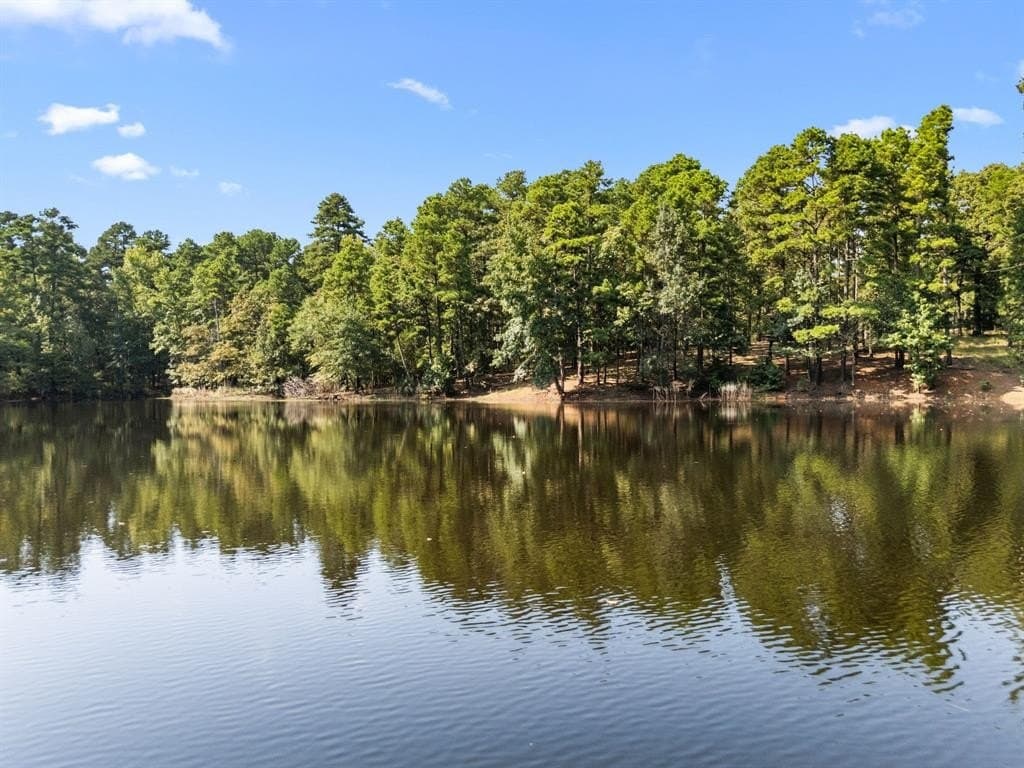 37.72 acres in Wood County gallery image 4