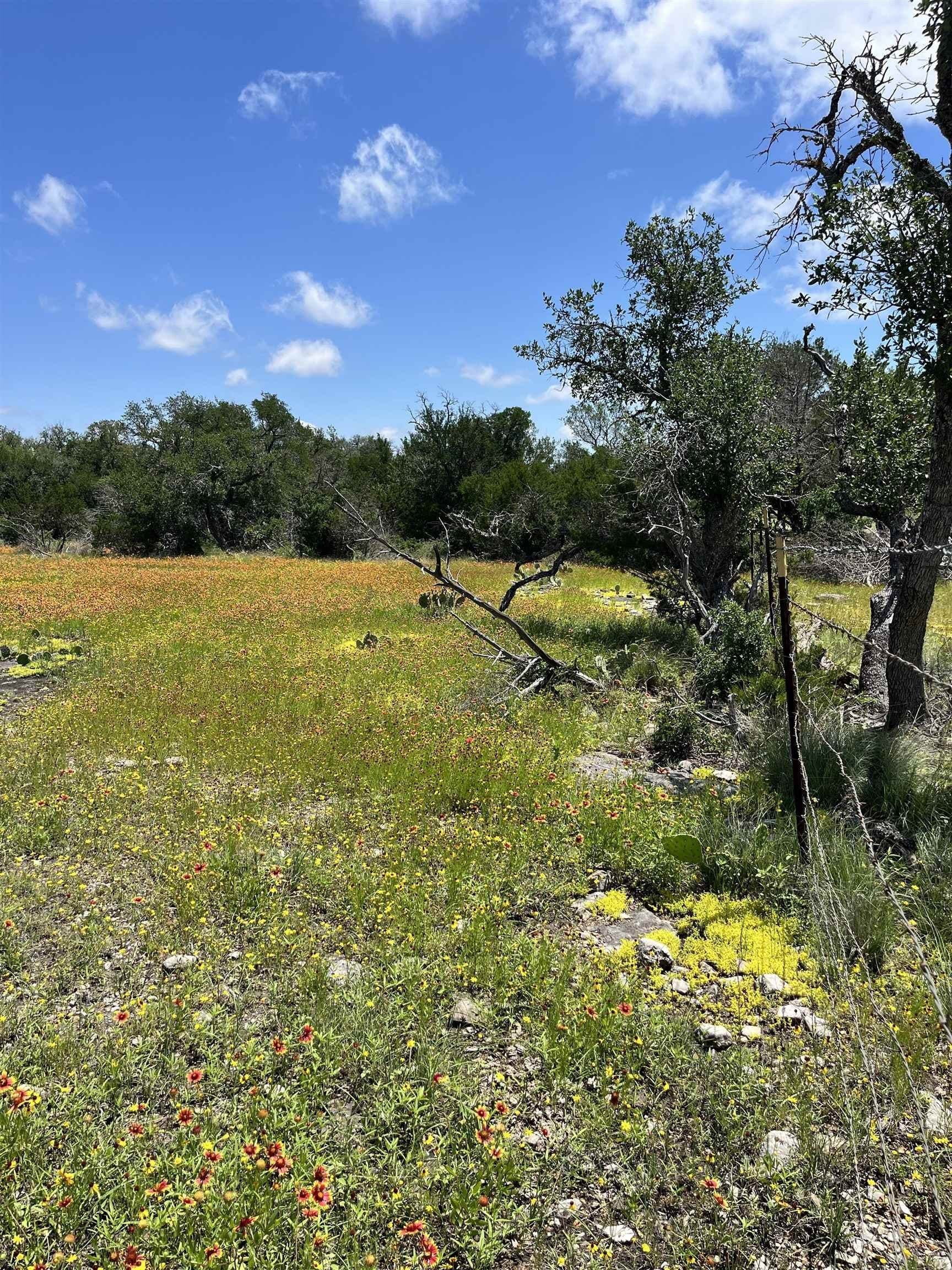 10 acres in Burnet County - photo 15