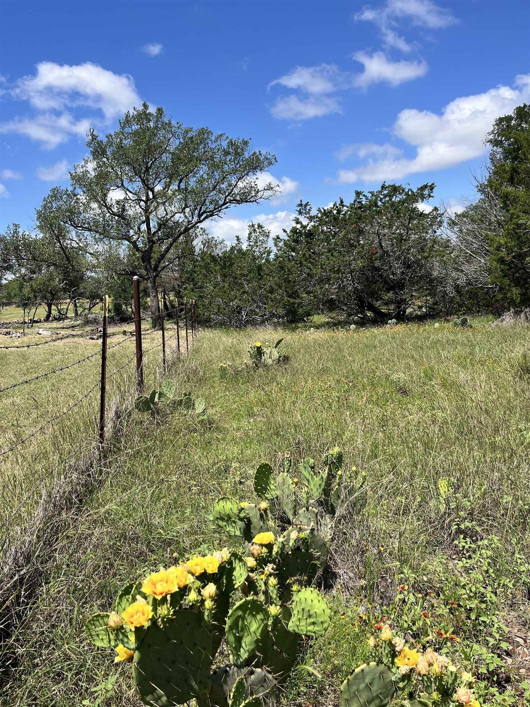 10 acres in Burnet County - photo 8
