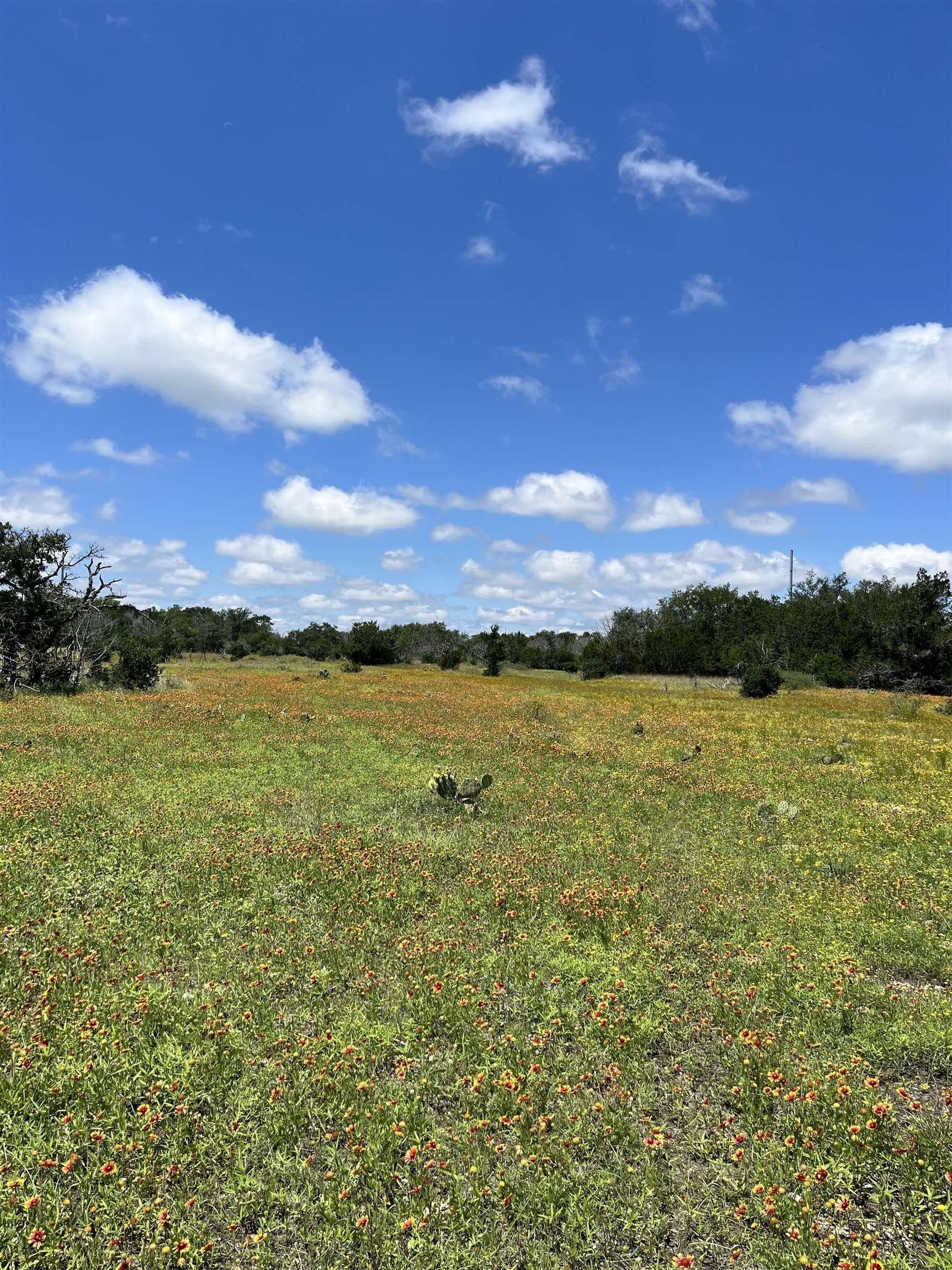 10 acres in Burnet County - photo 18