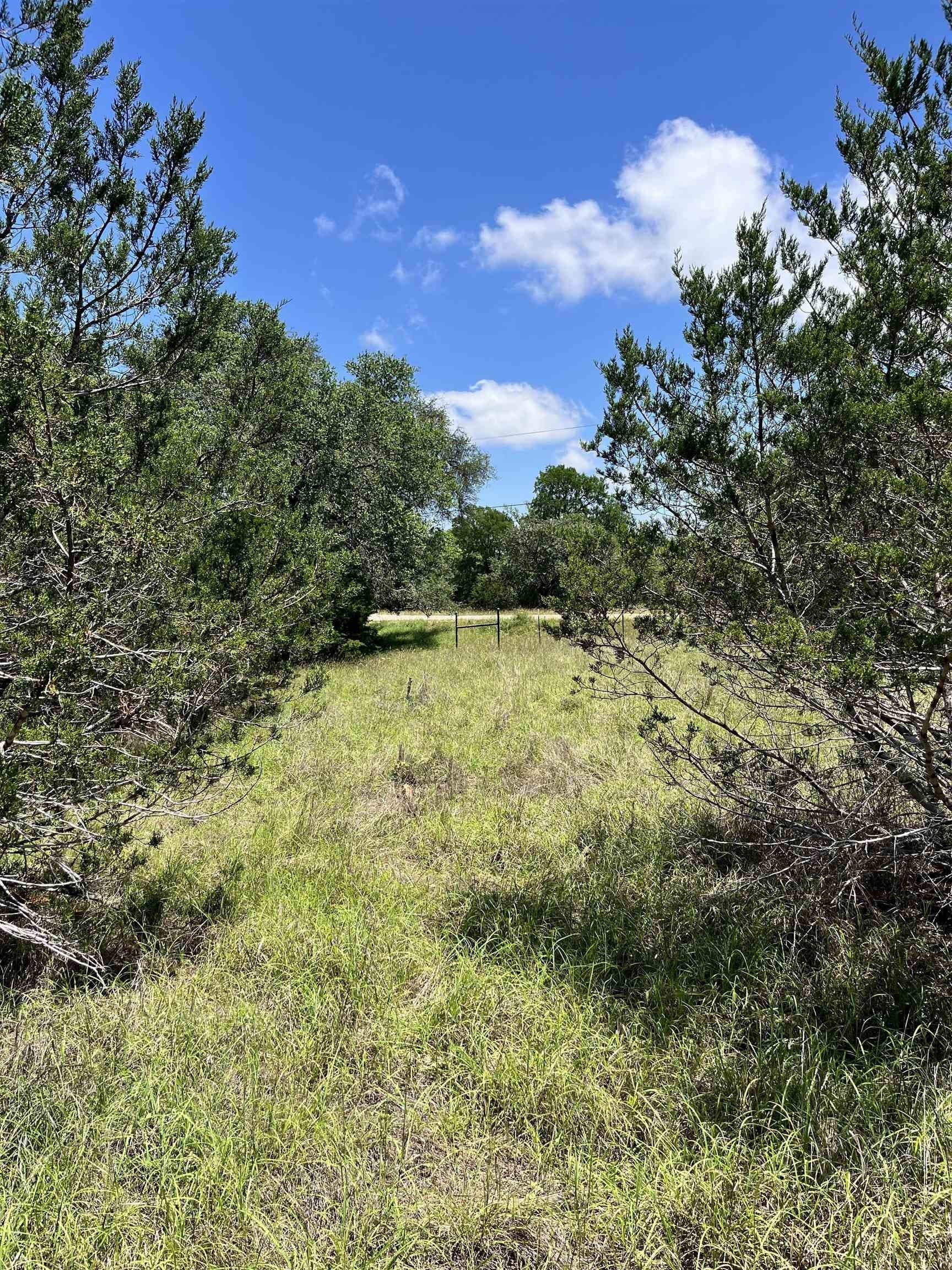10 acres in Burnet County - photo 19