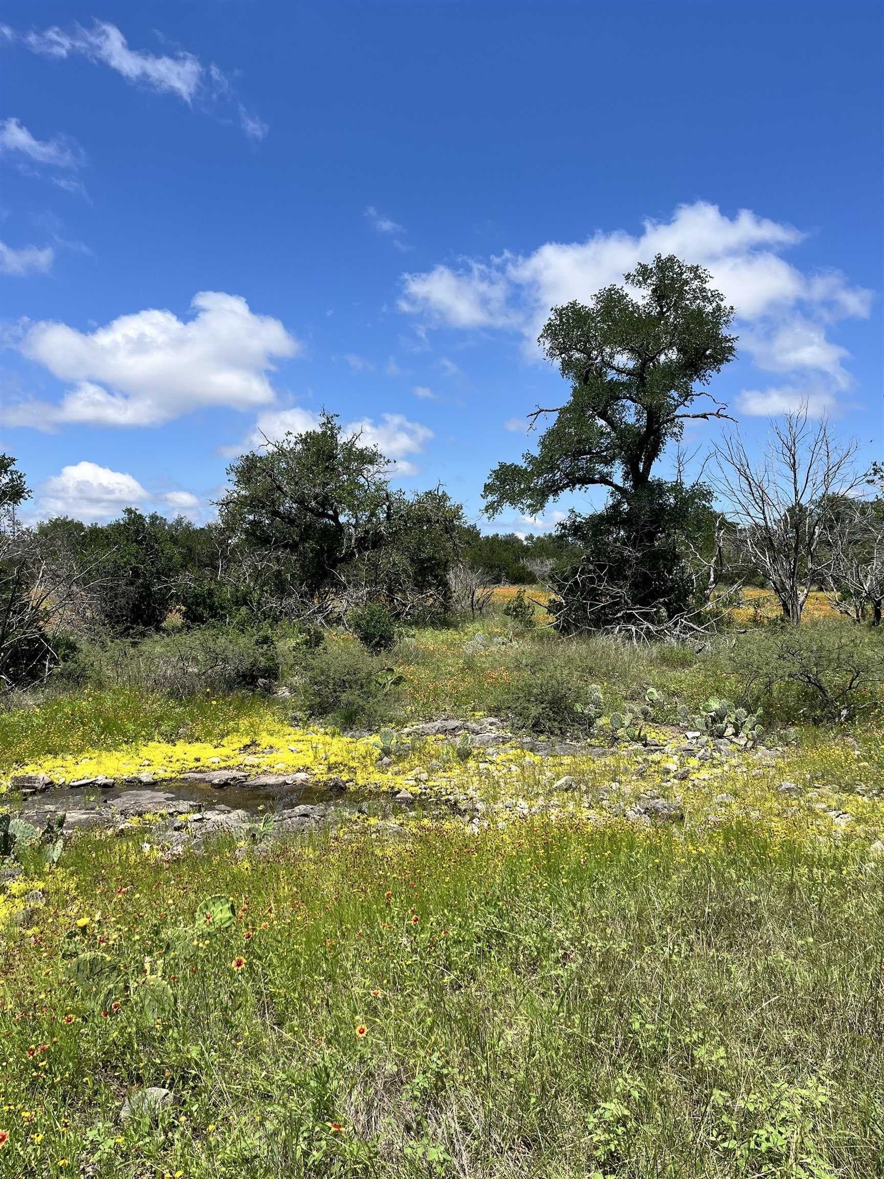 10 acres in Burnet County - photo 12