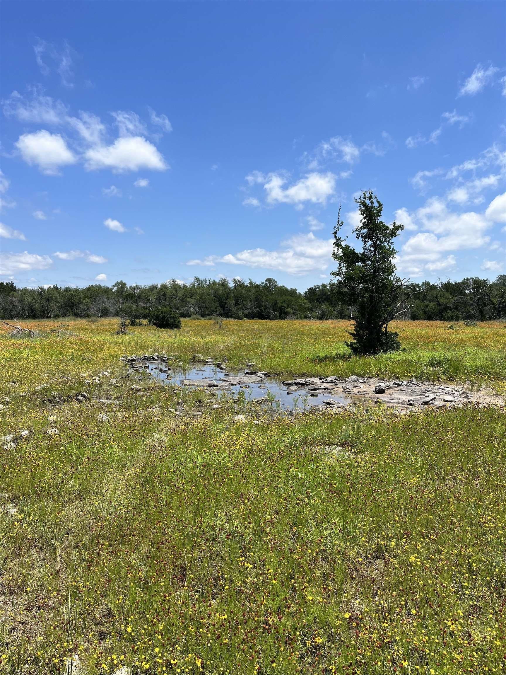 10 acres in Burnet County - photo 23