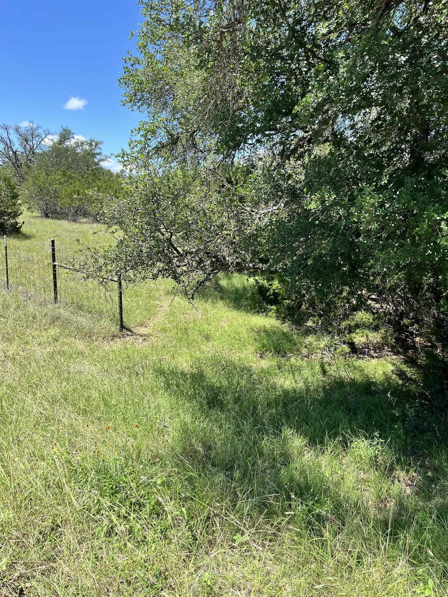 10 acres in Burnet County - photo 16