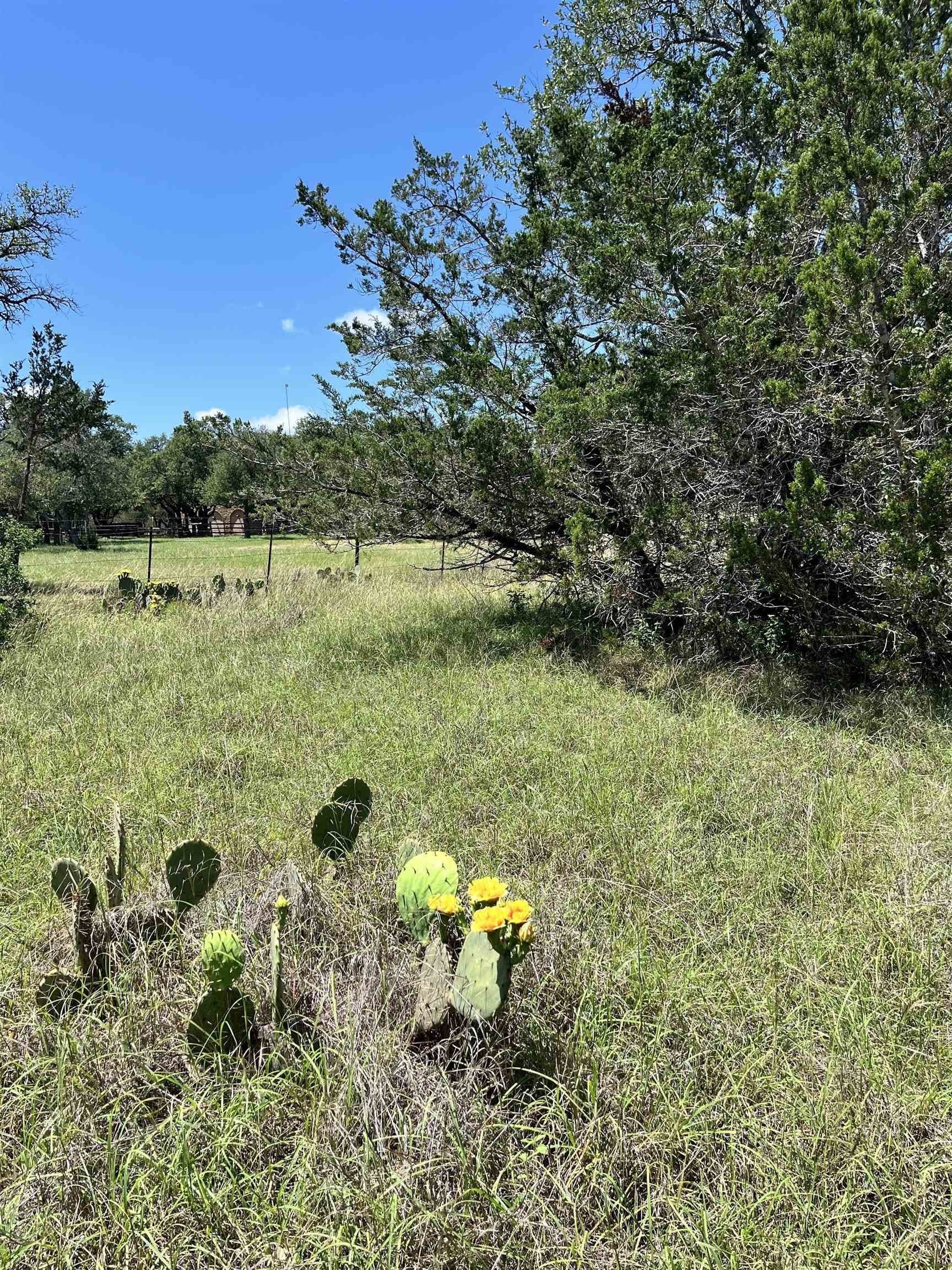 10 acres in Burnet County - photo 17