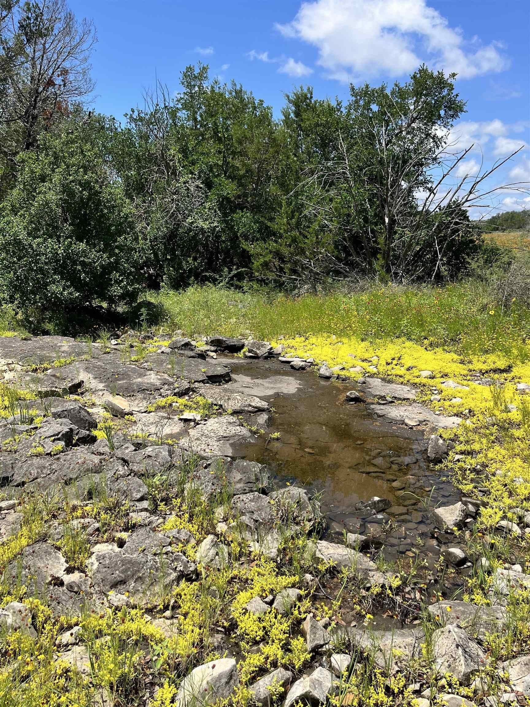 10 acres in Burnet County - photo 22