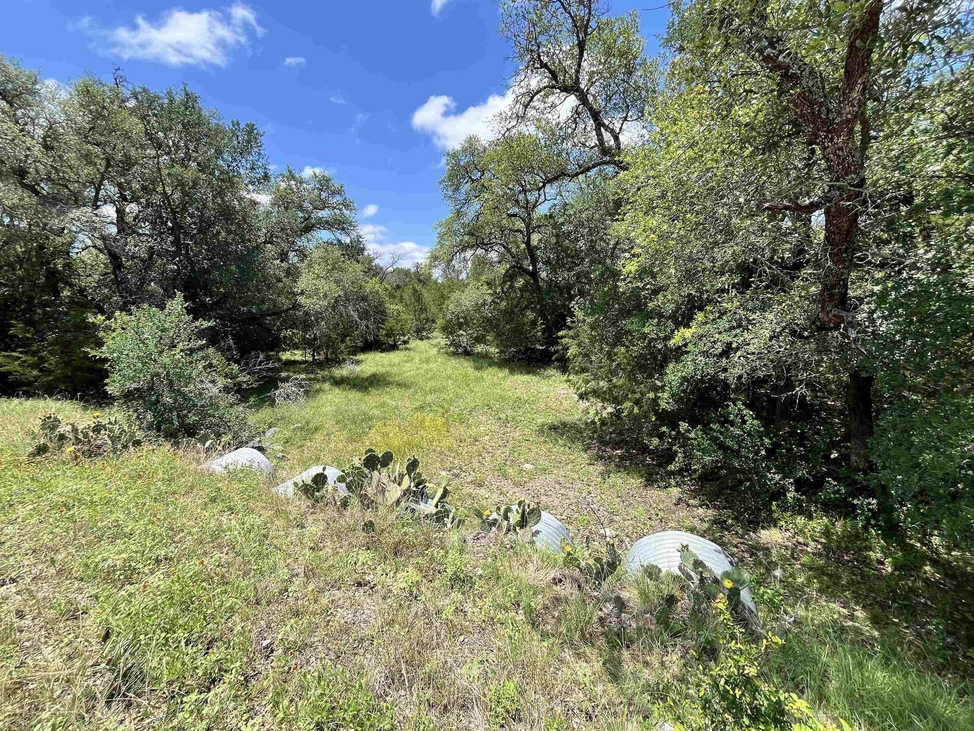 10 acres in Burnet County gallery image 3