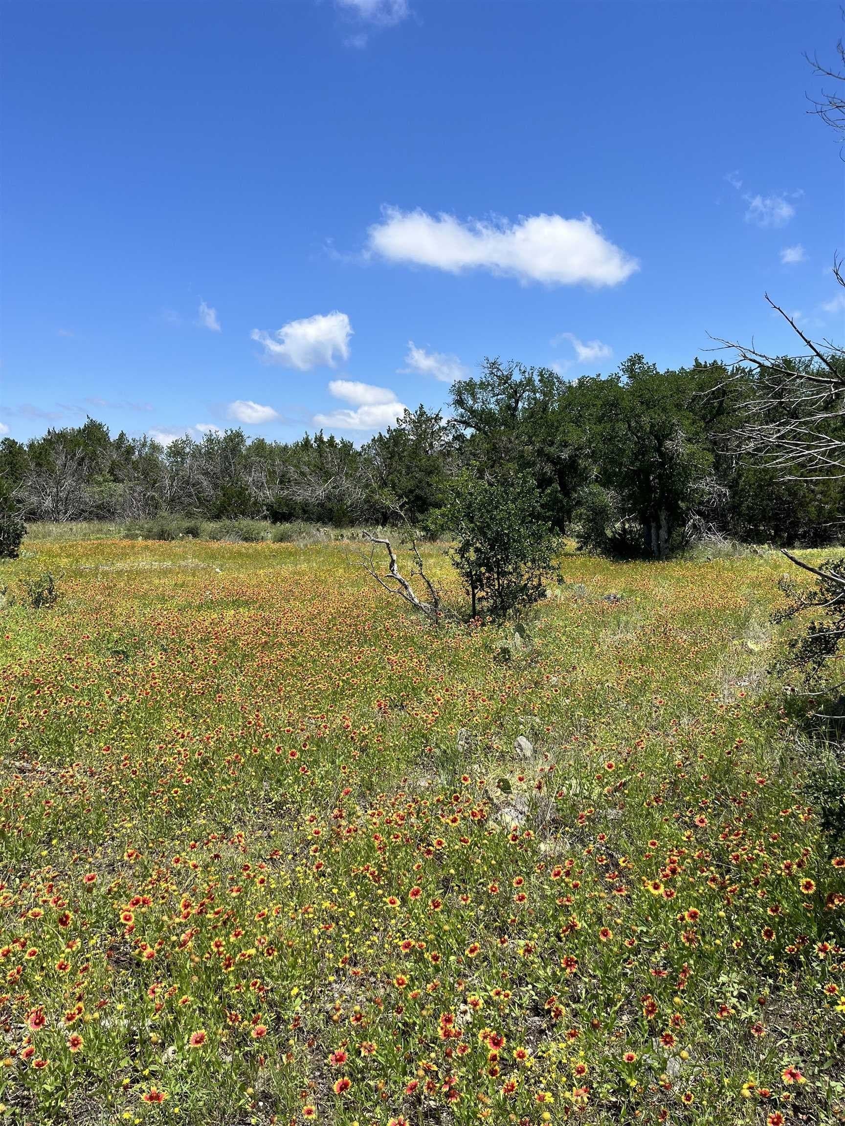 10 acres in Burnet County - photo 21