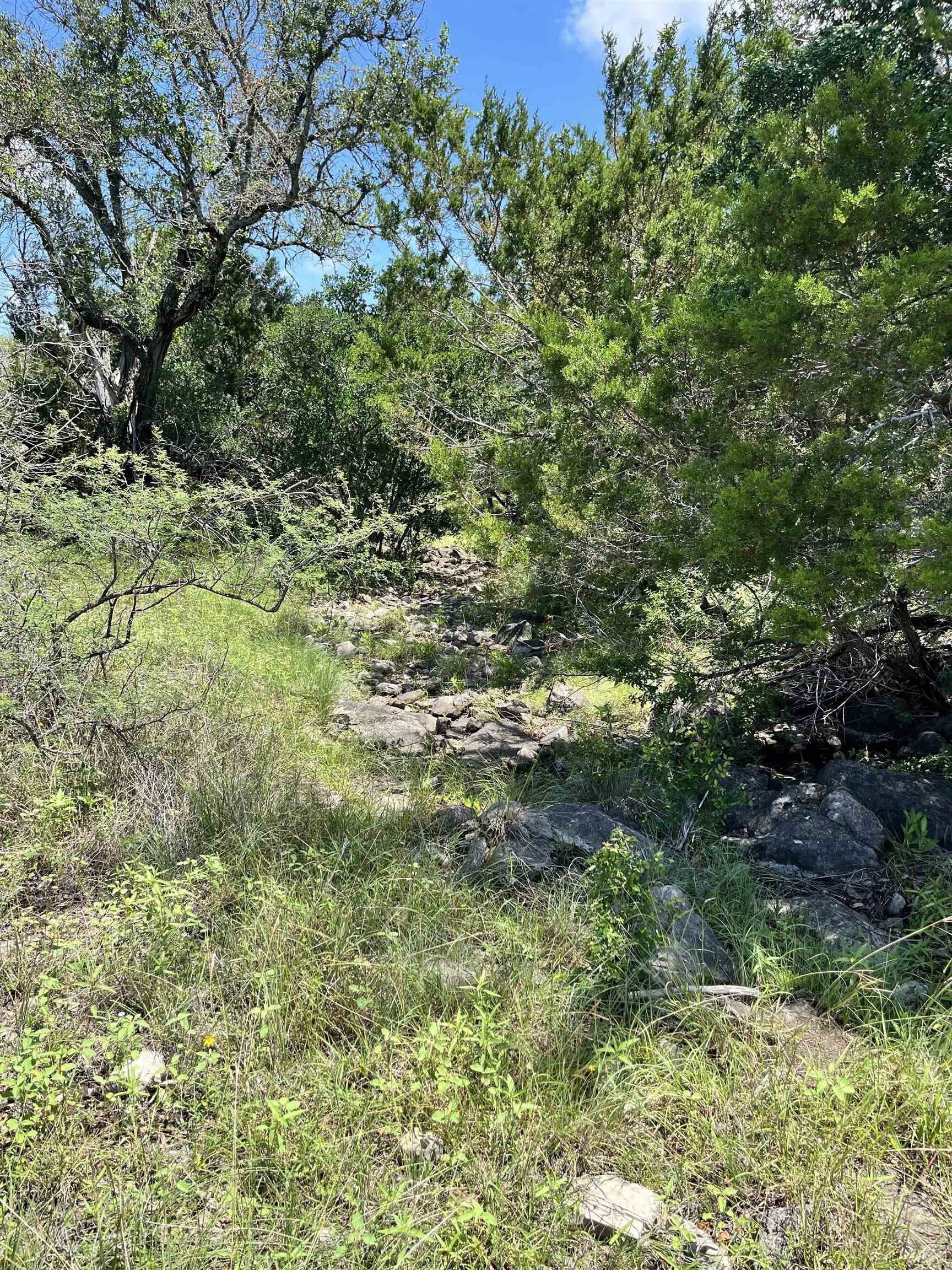 10 acres in Burnet County - photo 20