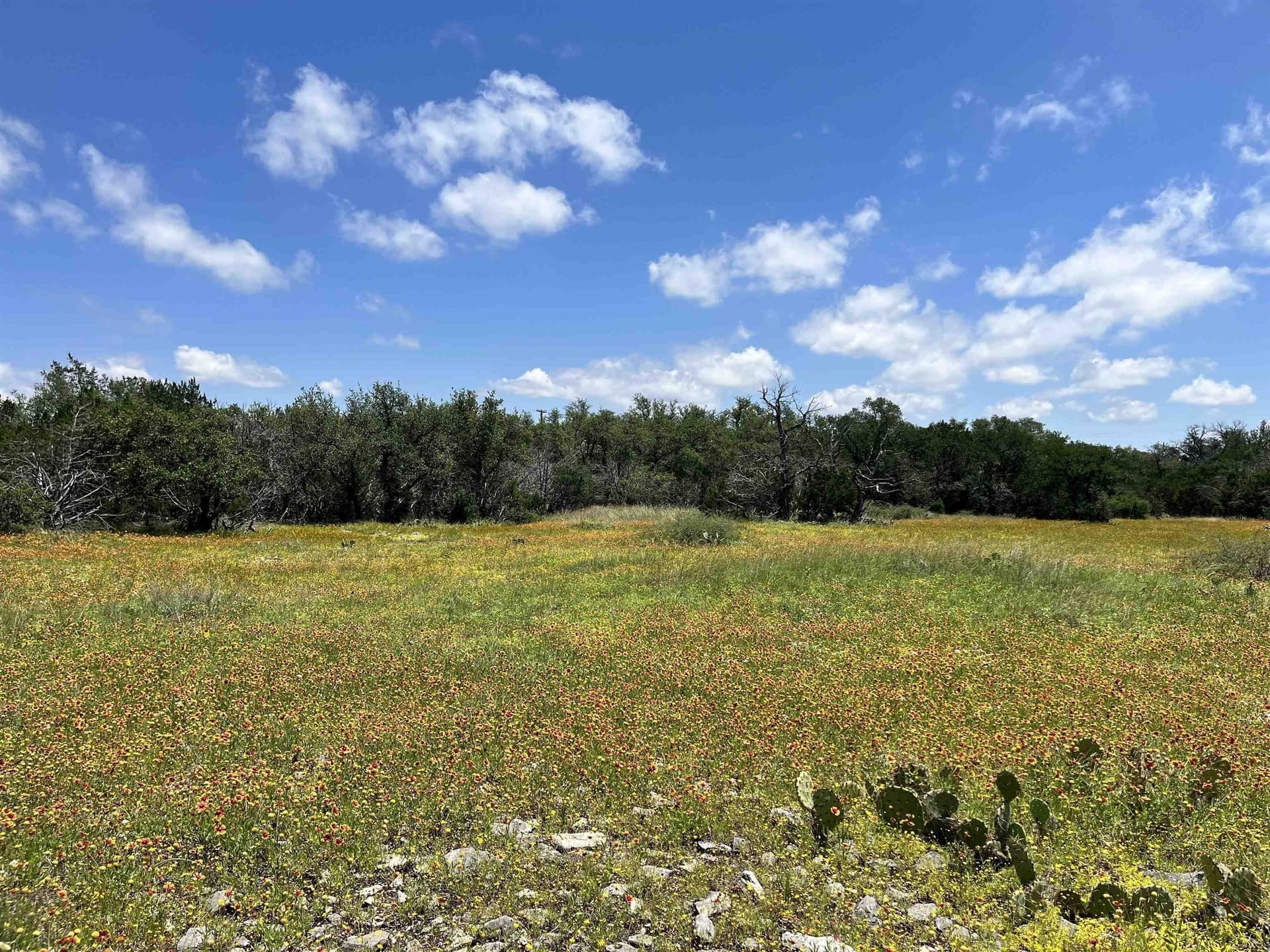 10 acres in Burnet County