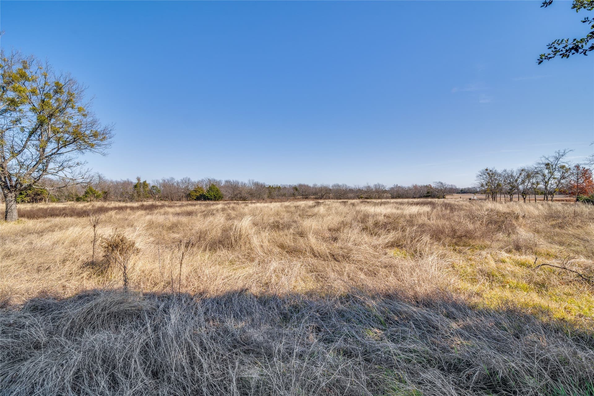 22.05 acres in Collin County - photo 8