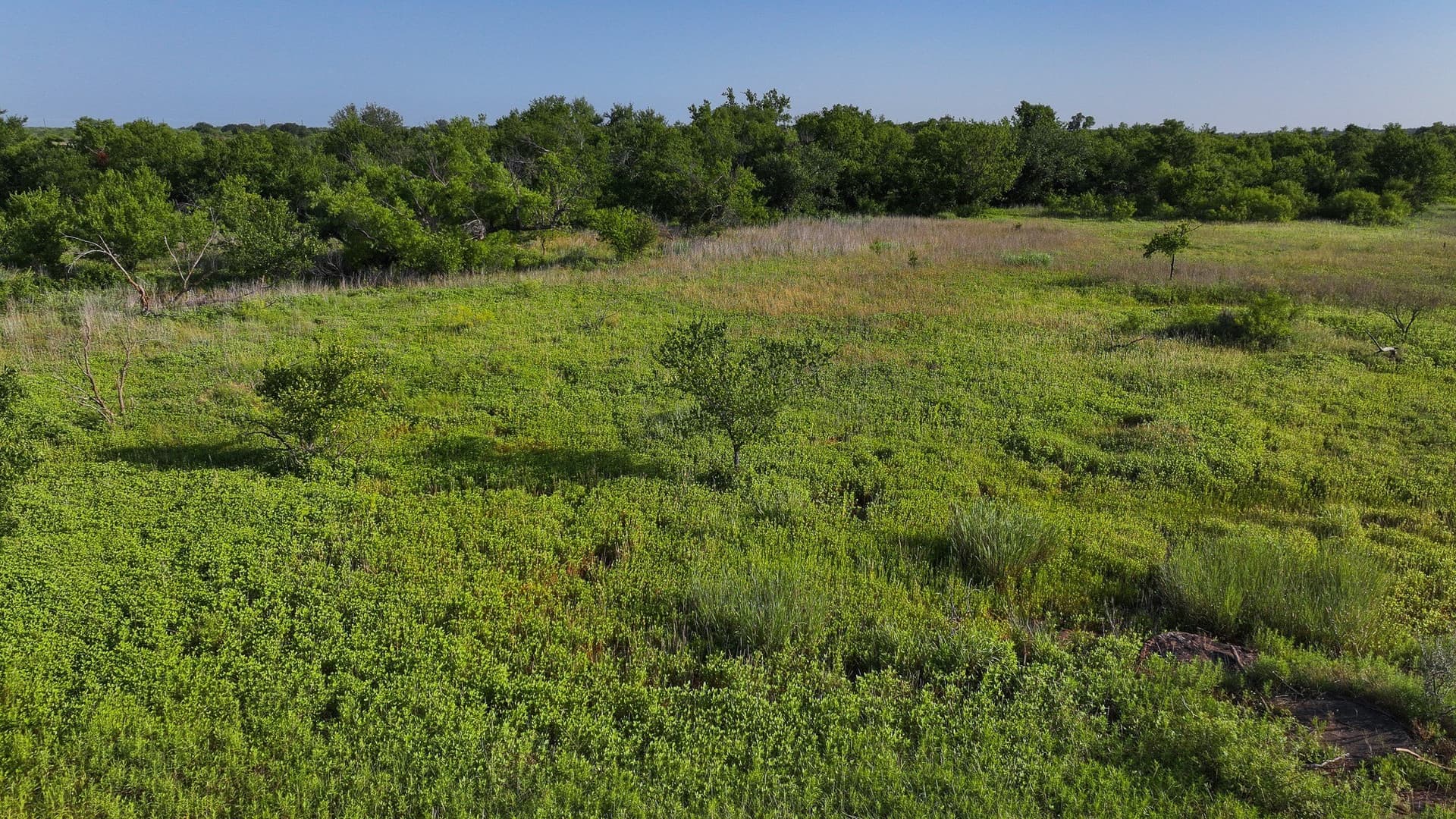 45 acres in Archer County gallery image 3