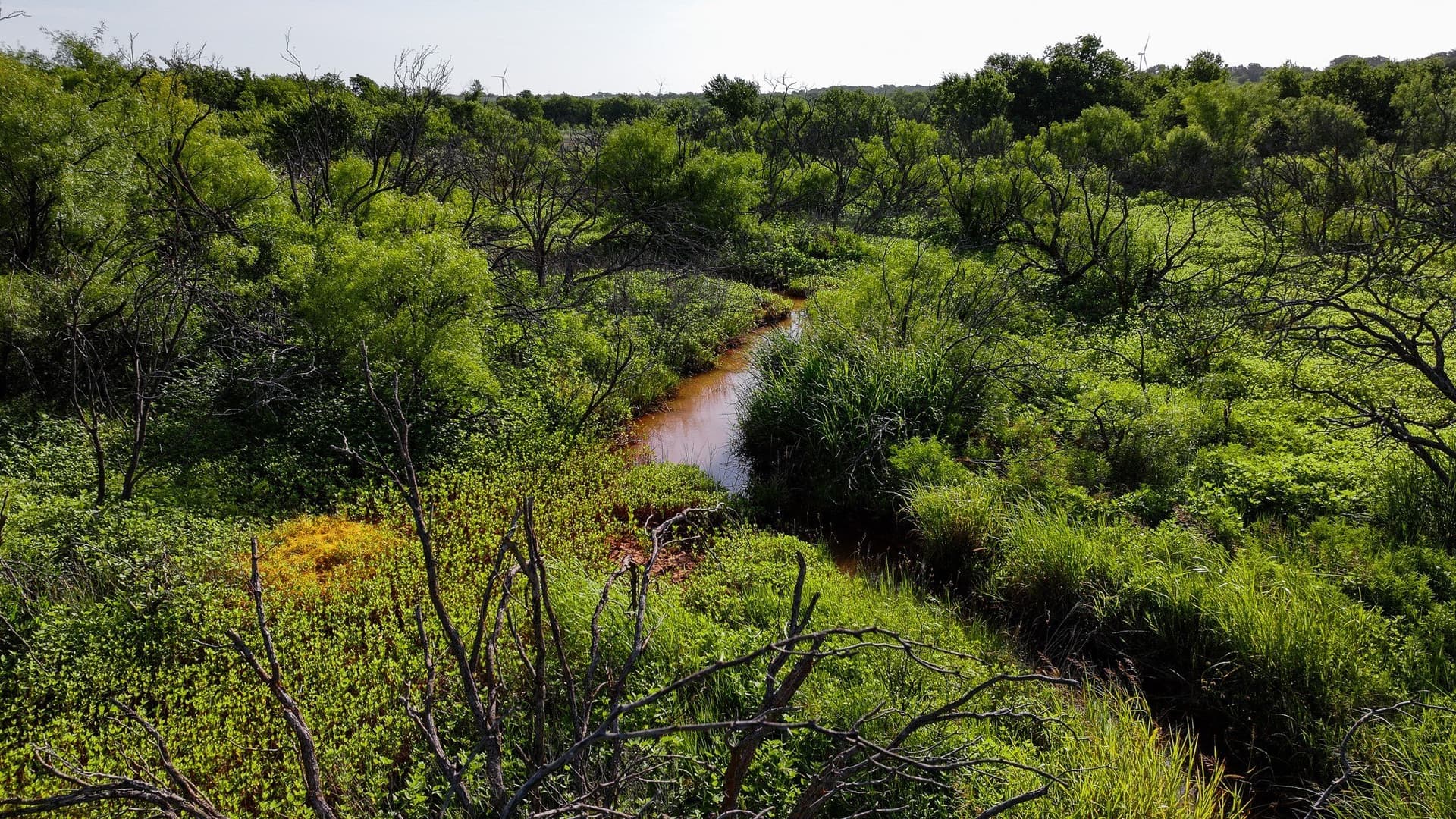 45 acres in Archer County gallery image 2