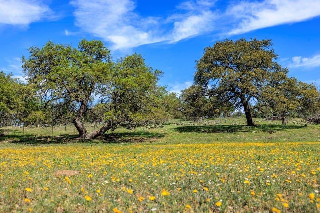 21.1 acres in Kerr County featured view