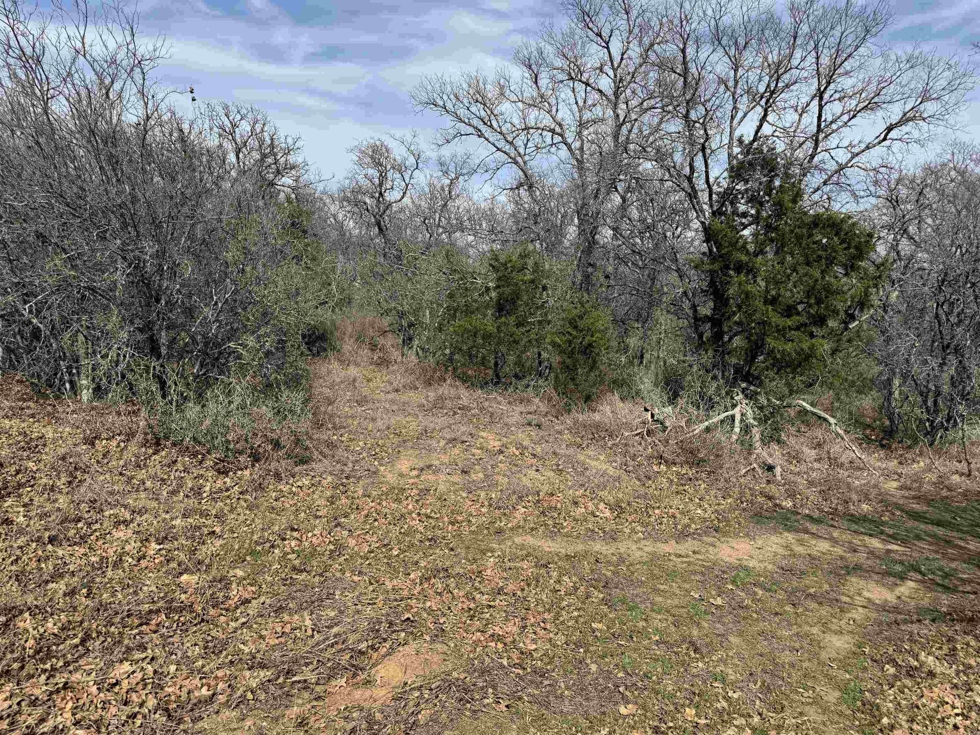 2.48 acres in Llano County - photo 4