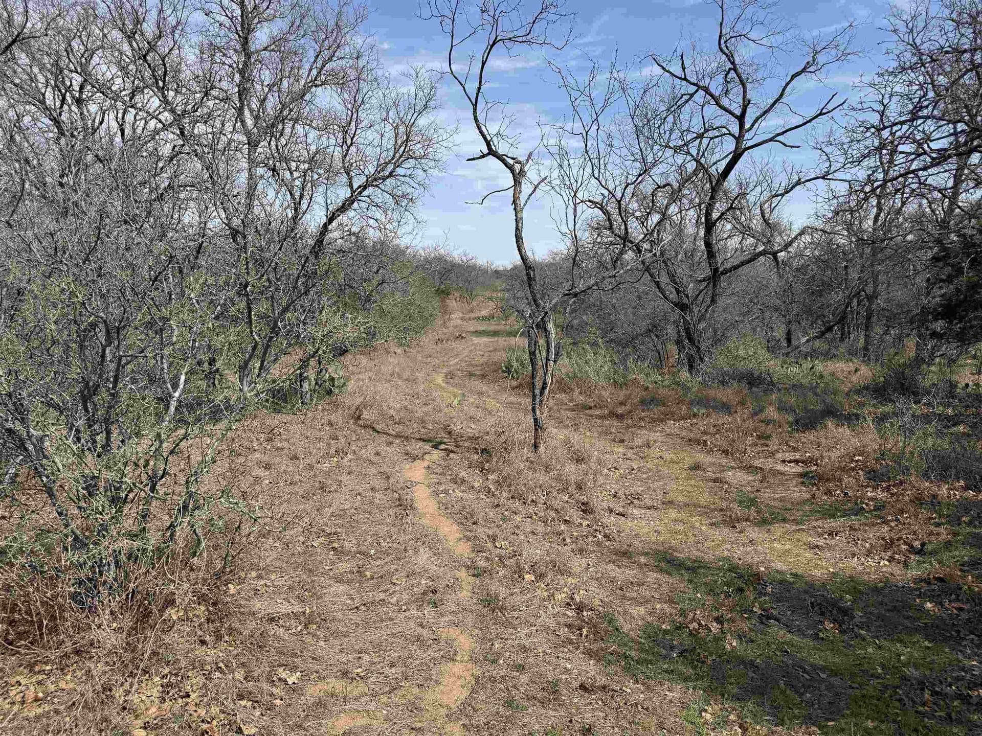 2.48 acres in Llano County - photo 5