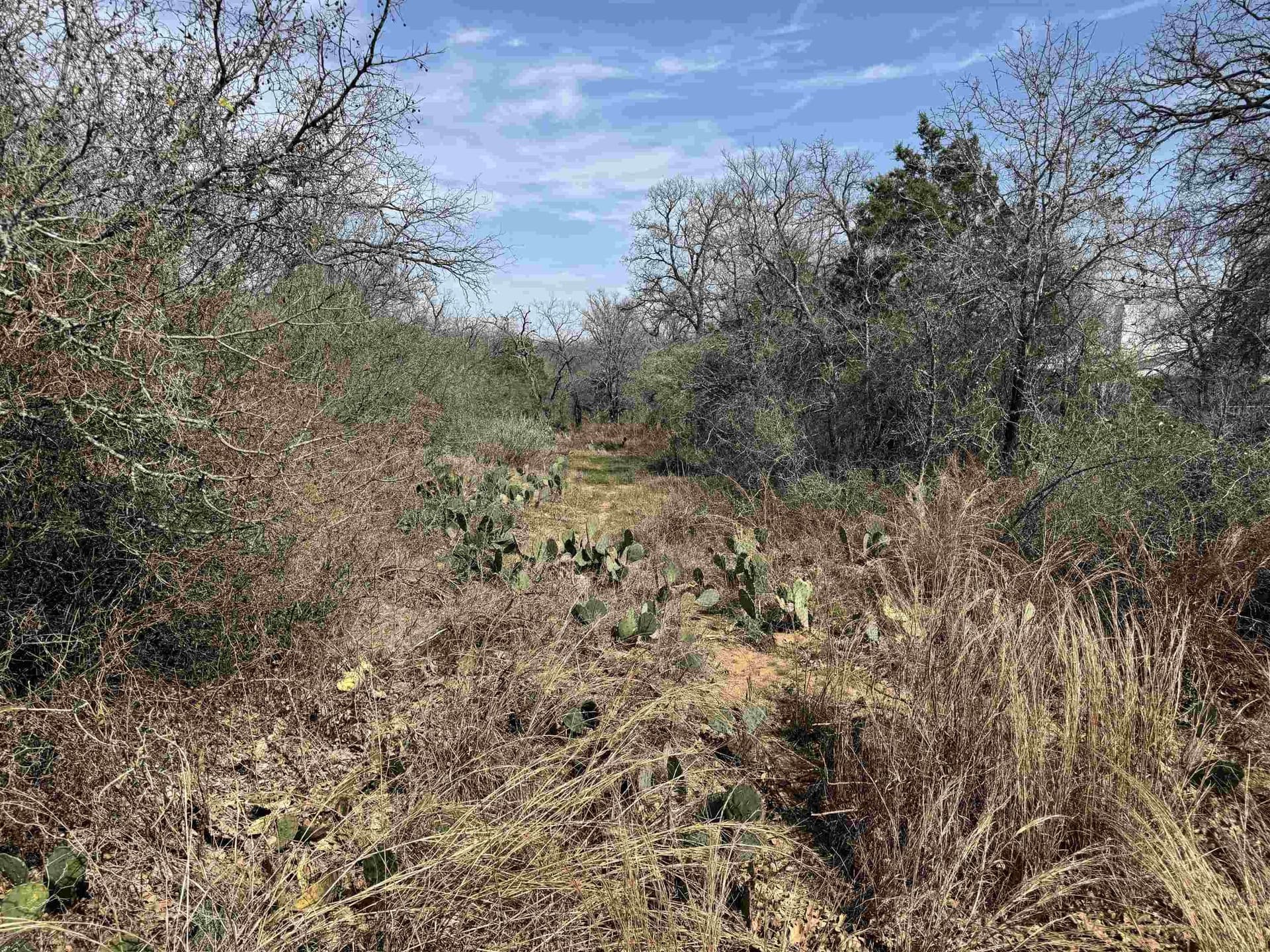 2.48 acres in Llano County - photo 3