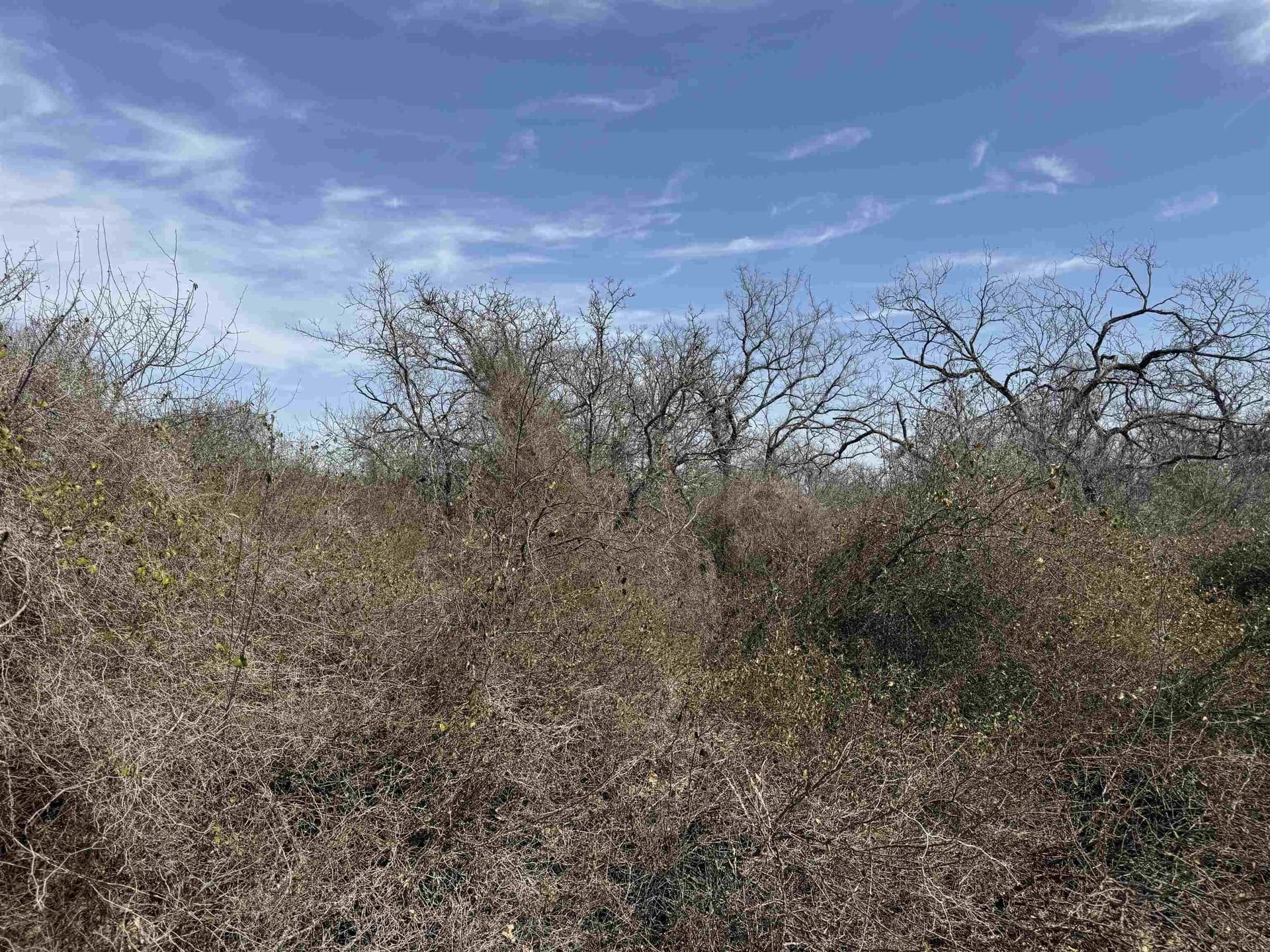 2.48 acres in Llano County