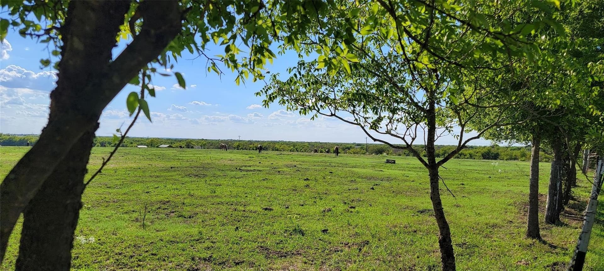 17.85 acres in Kaufman County - photo 8