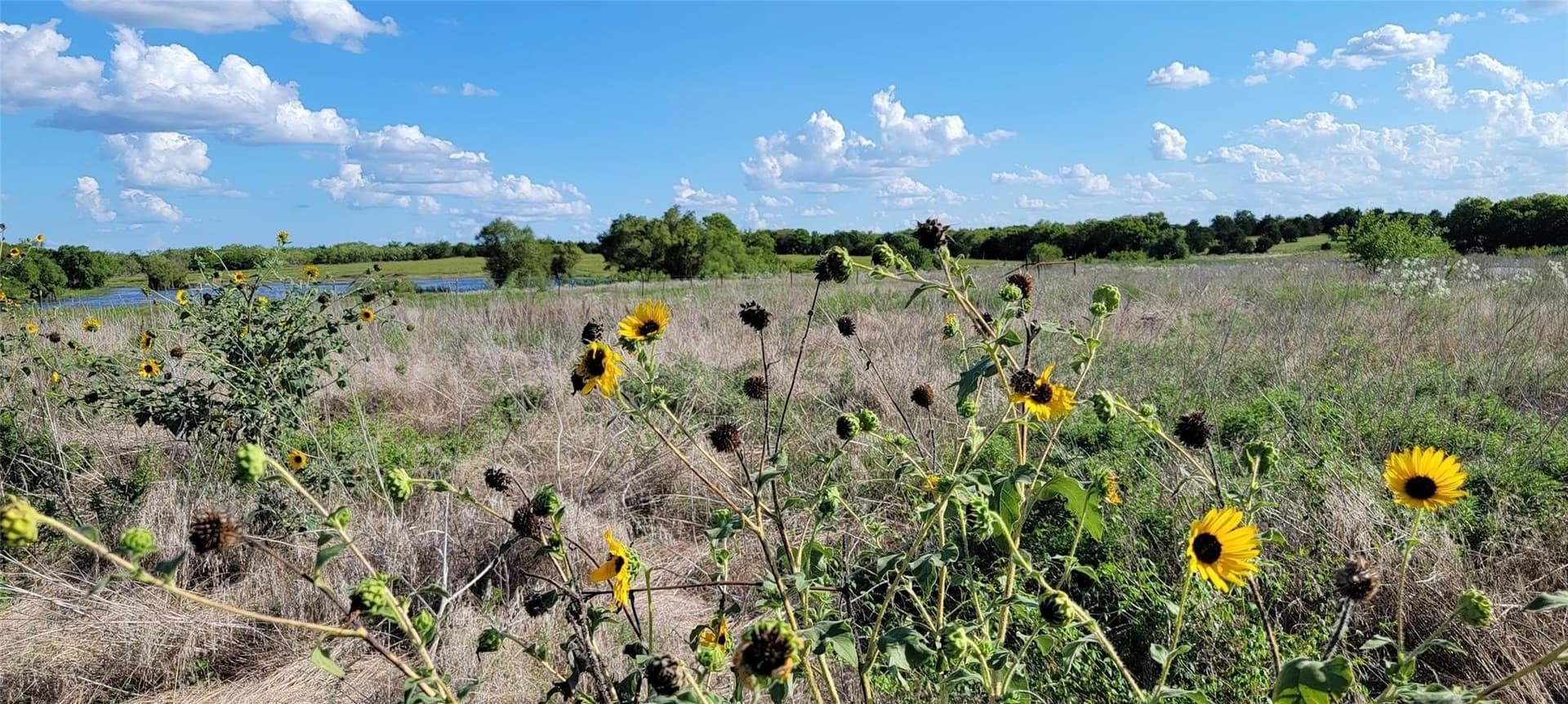 17.85 acres in Kaufman County - photo 6