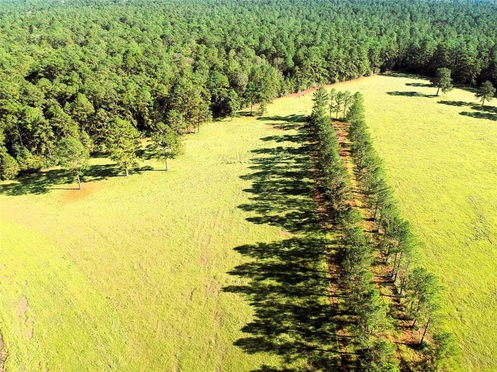 3.51 acres in Texas County gallery image 4