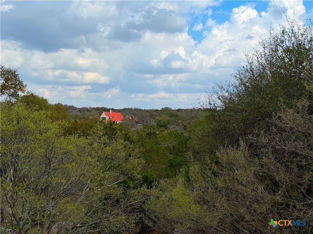 1.41 acres in Comal County gallery image 3