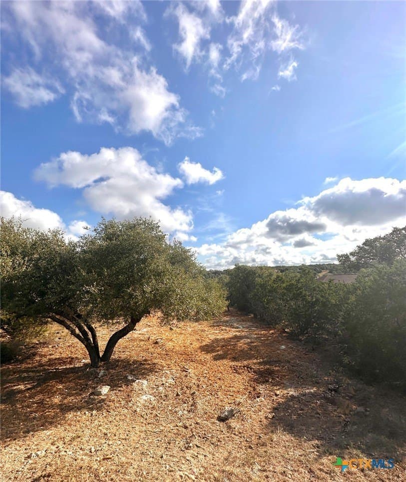 1.41 acres in Comal County - photo 11