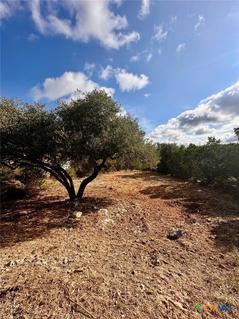 1.41 acres in Comal County - photo 10