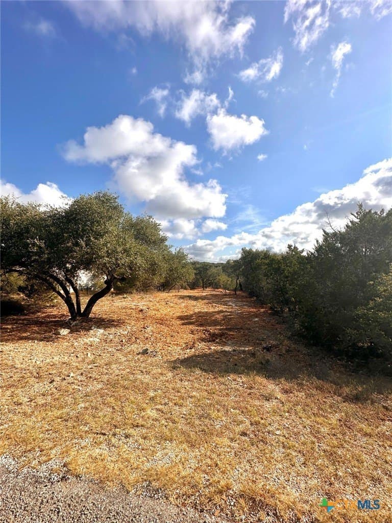 1.41 acres in Comal County - photo 5